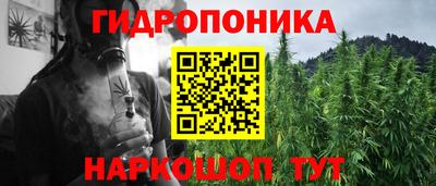 mdpv Лесосибирск