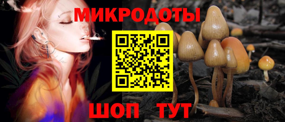 Псилоцибиновые грибы Psilocybine cubensis Киселёвск